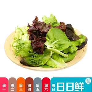 [优选水培全叶双色生菜200g/份（盒马日日鲜]
