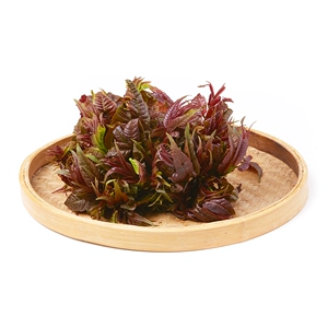 【Alpine Fresh】Yunnan Red Toon 100г