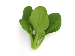 【Свежая и нежная серия】Green Stem 320г