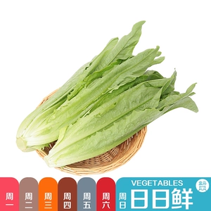[油麦菜 约300g]
