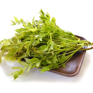 Lintong Green Toon 100g