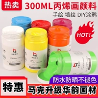 Пигментированный акрил, комплект, набор материалов, 300 мл, ручная роспись, 100 мл, граффити