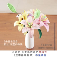 Крючок для вязания, плетеный набор материалов в виде цветка ручной работы, «сделай сам», в цветочек