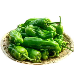 [MS薄皮青椒400g]