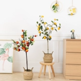 Моделирование растения в горшках лимонного дерева