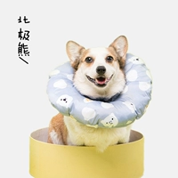 Полярный медведь