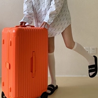 Orange Red Sports Edition