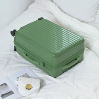 Авокадо зеленая модель