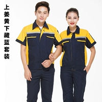 Имбирь, скрытый синий/набор