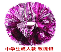 Деньги учеников средней школы смешанные серебро