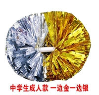 Служба средней школы на одной стороне золота и серебра