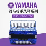 Yamaha -стиль пианино 60 бас 96 бас 120 басов три ряда из четырех рядов из четырех рядов из четырех тростников 34/37/41 Ключ Импортированный тростник