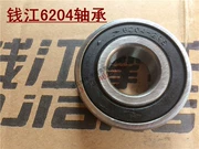Phụ kiện xe máy Qianjiang QJ50QT-5 -2 -18 Vòng bi trục khuỷu Model 6204 Vòng bi bánh sau 6203 - Vòng bi
