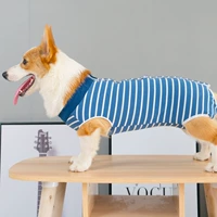 Синие полосы