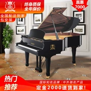 Áo Grieg piano GP-150 nhà mới dành cho người lớn mới bắt đầu chơi chuyên nghiệp 88 tên châu Âu - dương cầm