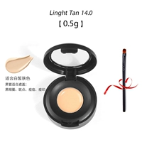 It Concealer 14.0-0.5g [Flouning Skin Trust] Отправьте кисть консилера