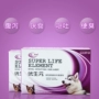 Eugenics chó men vi sinh điều hòa dạ dày kho báu Jin Mao Teddy nôn chó tiêu chảy mèo thú cưng - Cat / Dog Health bổ sung sữa predogen