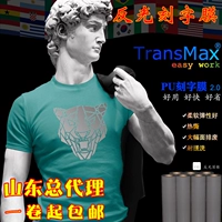 Hot Transfer Print Новое потребление живописи Crown Transmax Реклама T -Fish DIY Clothing Pu Emerfuctive Cargo