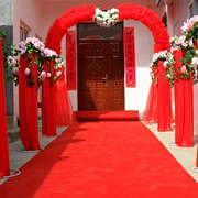 Bán buôn thảm đỏ giai đoạn dùng một lần triển lãm mở lễ kỷ niệm đám cưới sử dụng lâu dài của chải dày chào đón chăn