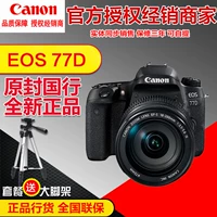 Canon Canon EOS 77D 18-135 18-200 kit chuyên nghiệp danh sách cao chống máy ảnh kỹ thuật số máy ảnh cho người mới