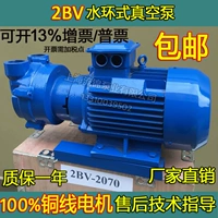 2BV Water Cring Vacuum Pump Industry 2060/2061/2070/2071/5110/5121 Смешанный насос.