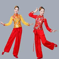 Новая национальная служба янга мужская и женская танцевальная команда Dragon Dance играла танцевальная одежда в танце