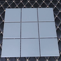 Средний размер подтипа