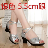 Серебряный, 5см