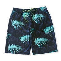 Черное дно озеро зеленое дерево листья-2