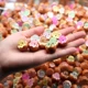30 птенцов световой раковины 30 цыплят