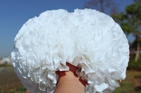 Обновить югуан 5 дюймов (югуангай)