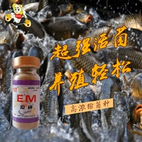 Здоровье водное