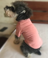 Цвет лотоса