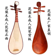 Nhạc cụ gỗ hồng mộc mới bắt đầu chấm điểm biểu diễn đặc biệt cho trẻ em người lớn 琵琶 quốc gia