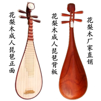 Nhạc cụ gỗ hồng mộc mới bắt đầu chấm điểm biểu diễn đặc biệt cho trẻ em người lớn 琵琶 quốc gia sáo trúc mão mèo