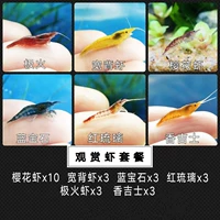 Смотреть пакет креветок 2