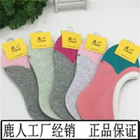 Vớ nữ của Deer 3020 phần mỏng dành cho nữ bằng vải cotton mềm mại tất dài qua đầu gối cho nữ