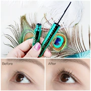 Gemeng Peacock Elf người mới bắt đầu rất nhỏ chải đầu mascara không thấm nước uốn cong không làm nhòe lông mi tăng trưởng chất lỏng