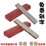 奇美 28 Horon Sounds Sounds Division Музыка
