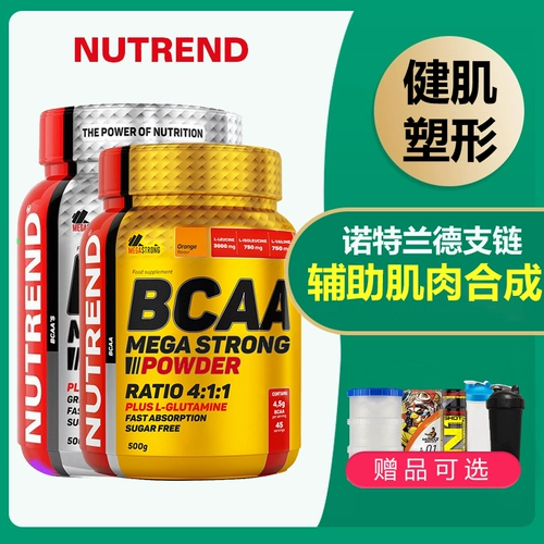 Питательный питатель мигает 500 г фитнес -мышечной синтетической анти -декоративной арматуры BCAA