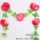 Daqiu Chrysanthemum pink Color (1)