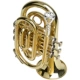 Chính hãng Baja palm number nhạc cụ bỏ túi trumpet portable palm number B-down cornet khuyến mãi