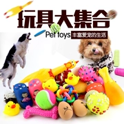 Con chó đồ chơi cung cấp vật nuôi răng hàm thanh nhạc cắn đào tạo đồ chơi gấu bông con chó con chó đồ chơi