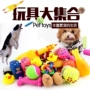 Con chó đồ chơi cung cấp vật nuôi răng hàm thanh nhạc cắn đào tạo đồ chơi gấu bông con chó con chó đồ chơi làm đồ chơi cho chó