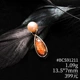 BCS91211