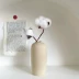 Ins Bắc Âu Bình Gốm Hoa Khô Cắm Hoa Bình Phòng Khách Bàn Ăn Trang Trí Nhà Cửa Trang Trí Ảnh Đạo Cụ Vase / Bồn hoa & Kệ