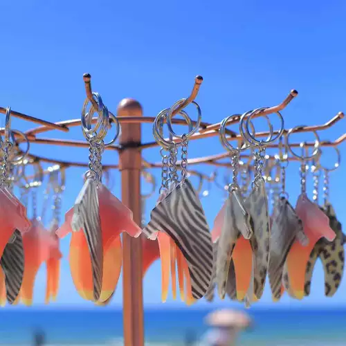 Кольцевые волны без окружающей окружающей памяти хвостовой плавник