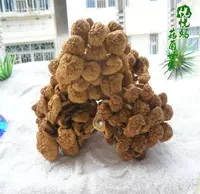 Гриб -ползунок грибов грибов с сушеной грузовой ползункой на вкус вкусной питание, богатое, нежное и ароматное 250 г