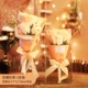 Установка Rose Bundle-5 (шампанское)