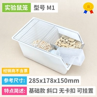 [M1] Наклонный рот без торговца пряжки не включает билеты